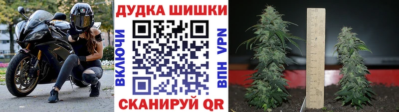 Сколько стоит Ардон МАРИХУАНА  КОКАИН  ГАШИШ  Меф мяу мяу 