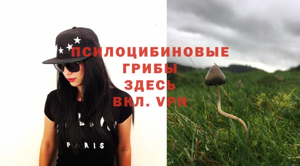 ПСИЛОЦИБИНОВЫЕ ГРИБЫ Алексин