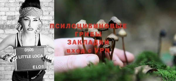 ПСИЛОЦИБИНОВЫЕ ГРИБЫ Алексин