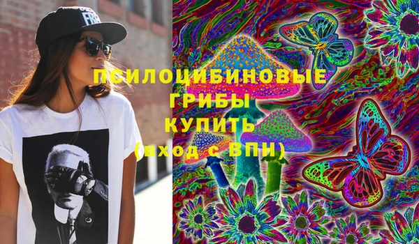 ПСИЛОЦИБИНОВЫЕ ГРИБЫ Алексин