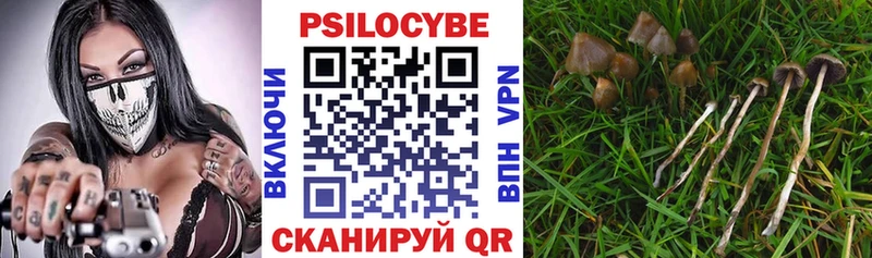 Псилоцибиновые грибы MAGIC MUSHROOMS  Ардон 